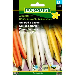Hornum Gulerod, Sommer-, sbnd