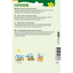 Hornum Gulerod, Vinter-, Bolero F1