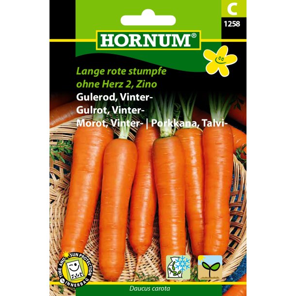 Hornum Gulerod, Vinter-, Lange rote stumpfe