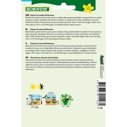 Hornum Hjulkrone, Almindelig, Borretsch