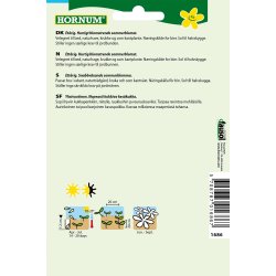 Hornum Honningurt, Klokke-