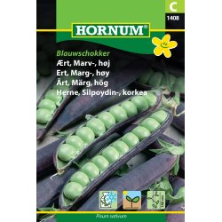 Hornum rt, Marv-, hj, Blauwschokker