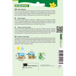 Hornum rt, Marv-, hj, Blauwschokker