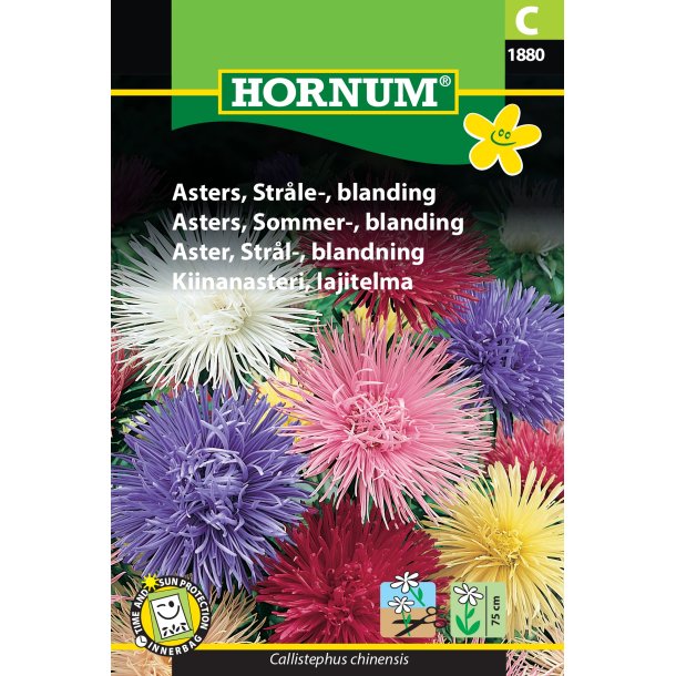 Hornum Asters, Strle-, blanding