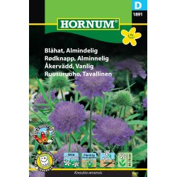 Hornum Blhat, Almindelig