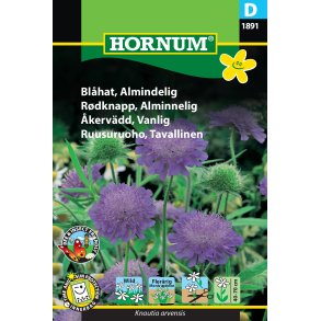 Hornum Blhat, Almindelig