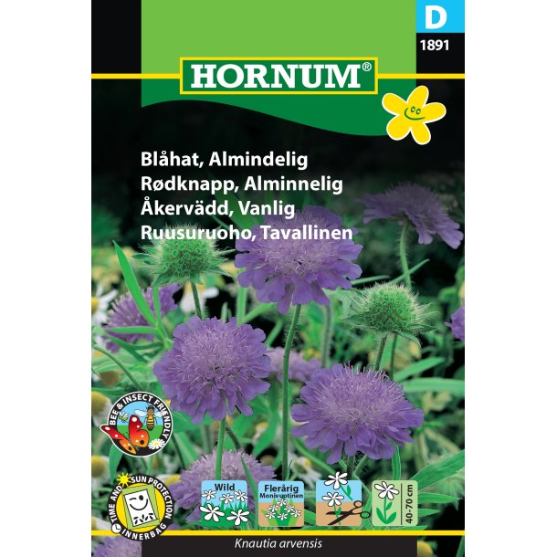 Hornum Blhat, Almindelig