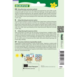 Hornum Blanding, Sensommernektar