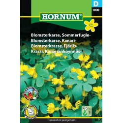 Hornum Blomsterkarse, Sommerfugle-