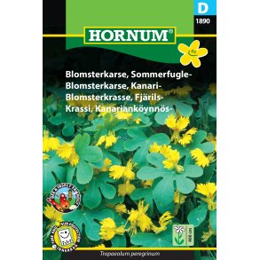 Hornum Blomsterkarse, Sommerfugle-