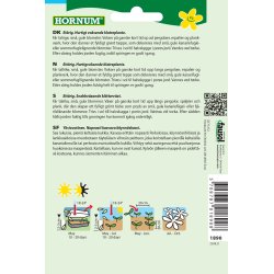 Hornum Blomsterkarse, Sommerfugle-