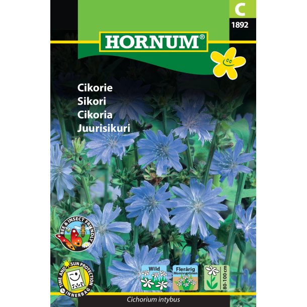 Hornum Cikorie