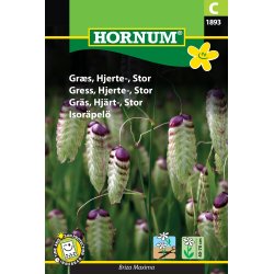 Hornum Grs, Hjerte-