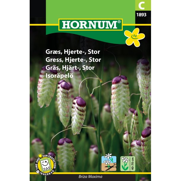 Hornum Grs, Hjerte-
