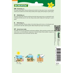 Hornum Gulerod, Sommer-, Nominator F1