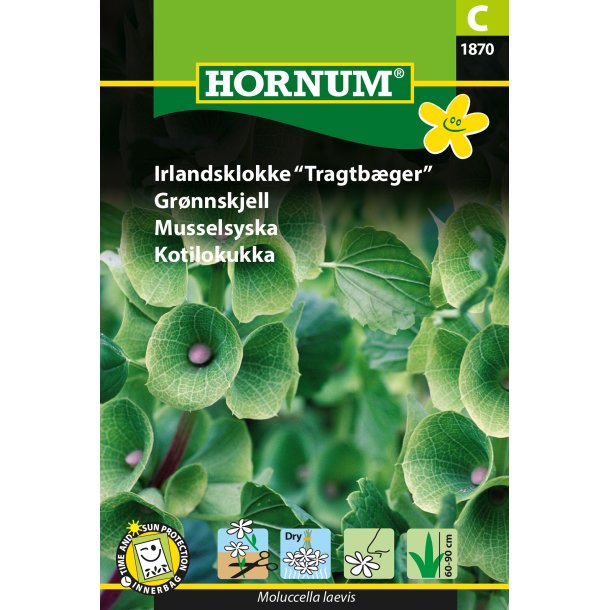 Hornum Irlandsklokke "Tragtbger"
