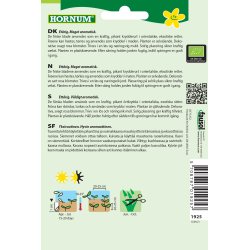 Hornum kologisk Koriander