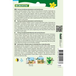 Hornum Spansk Krvel "Sdskrm"