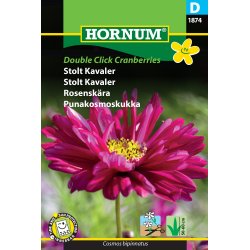 Hornum Stolt Kavaler, Double Click Cranberries