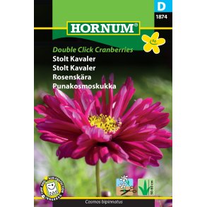 Hornum Stolt Kavaler, Double Click Cranberries