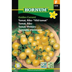 Hornum Tomat, Ribs-, "Vild tomat" Golden Currant