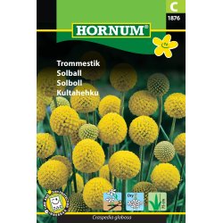Hornum Trommestik