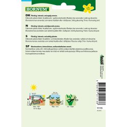 Hornum Indianermynte, Alm. Anisisop