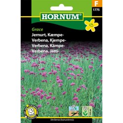 Hornum Jernurt, Kmpe-