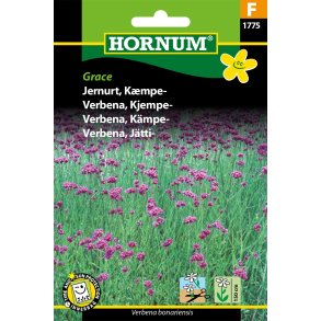 Hornum Jernurt, Kmpe-