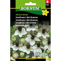 Hornum Jomfruen i det Grnne, African Bride