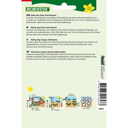 Hornum Jomfruen i det Grnne, African Bride