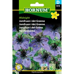 Hornum Jomfruen i det Grnne, Midnight