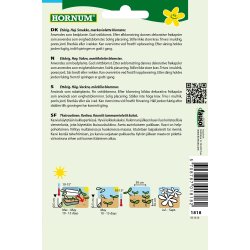 Hornum Jomfruen i det Grnne, Midnight