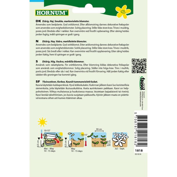 Hornum Jomfruen i det Grnne, Midnight