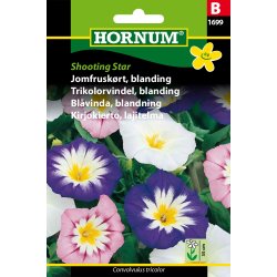 Hornum Jomfruskrt, blanding, Shooting Star
