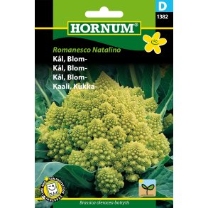Hornum Kl, Blom-, Romanesco Natalino