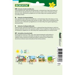 Hornum Kl, Blom-, Romanesco Natalino