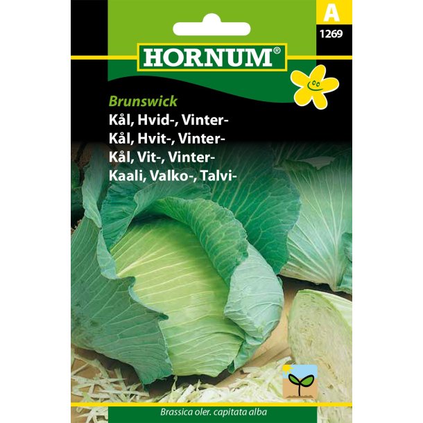 Hornum Kl, Hvid-, Vinter-, Brunswick