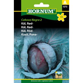 Hornum - Kl, Rd-, Cabeza Negra 2