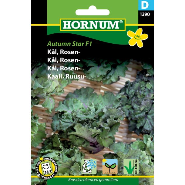 Hornum Kl, Rosen-, Autumn Star F1