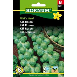 Hornum - Kl, Rosen-, Groninger