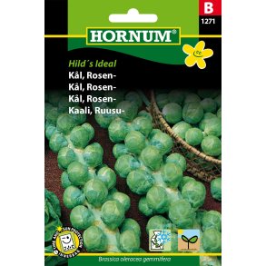 Hornum - Kl, Rosen-, Groninger