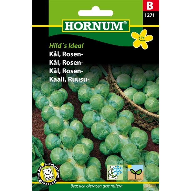 Hornum - Kl, Rosen-, Groninger