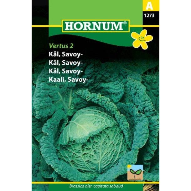 Hornum Kl, Savoy-, Vertus 2