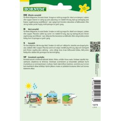 Hornum Kl, Savoy-, Vertus 2