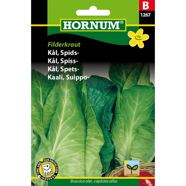 Hornum Kl, Spids-, Filderkraut