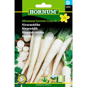 Hornum Kinarddike, Minowase S.C. F1