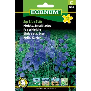 Hornum Klokke, Smalbladet, Big Blue Bells