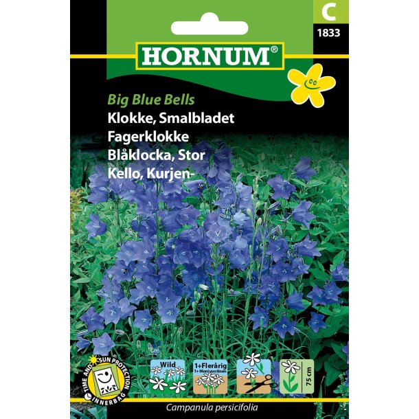 Hornum Klokke, Smalbladet, Big Blue Bells