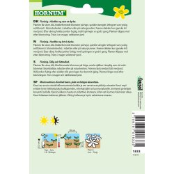 Hornum Klokke, Smalbladet, Big Blue Bells